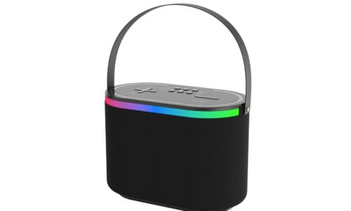 201 Microphone and Speaker