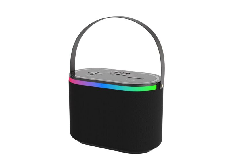 201 Microphone and Speaker