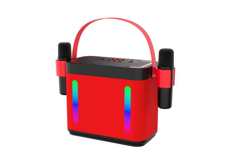 202 Microphone and Speaker - Image 2