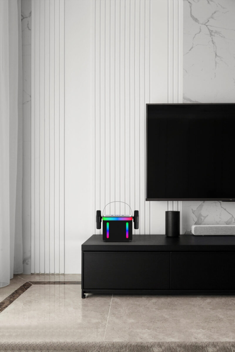 202 Microphone and Speaker - Image 27