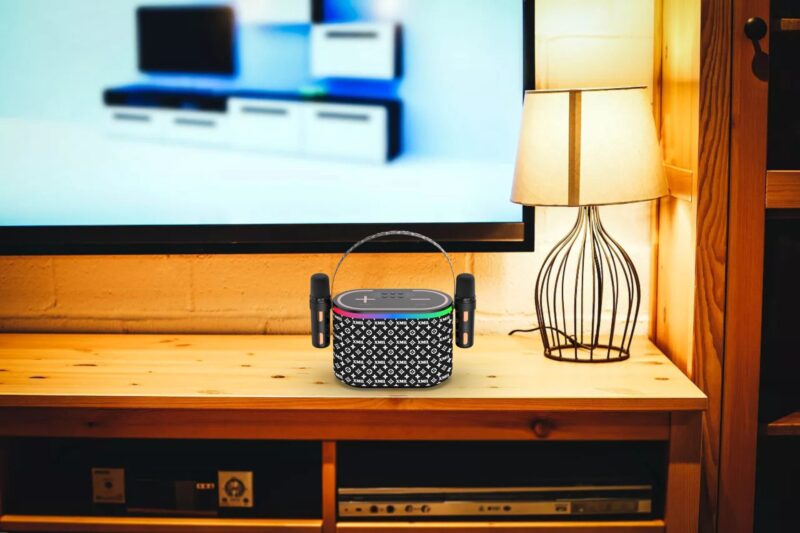 201 Microphone and Speaker - Image 10